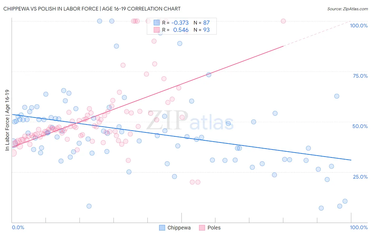 Chippewa vs Polish In Labor Force | Age 16-19