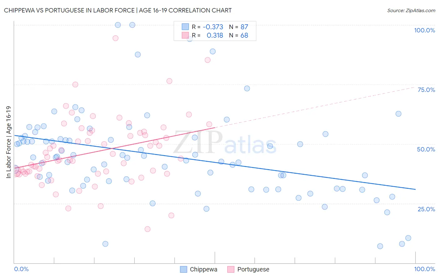 Chippewa vs Portuguese In Labor Force | Age 16-19