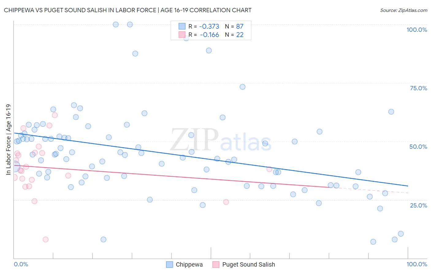 Chippewa vs Puget Sound Salish In Labor Force | Age 16-19