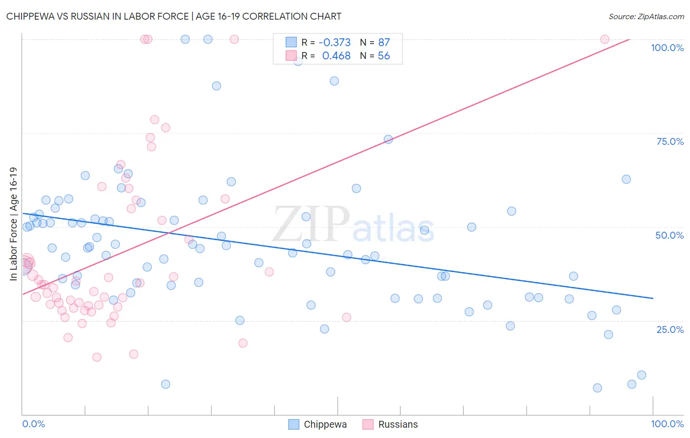 Chippewa vs Russian In Labor Force | Age 16-19