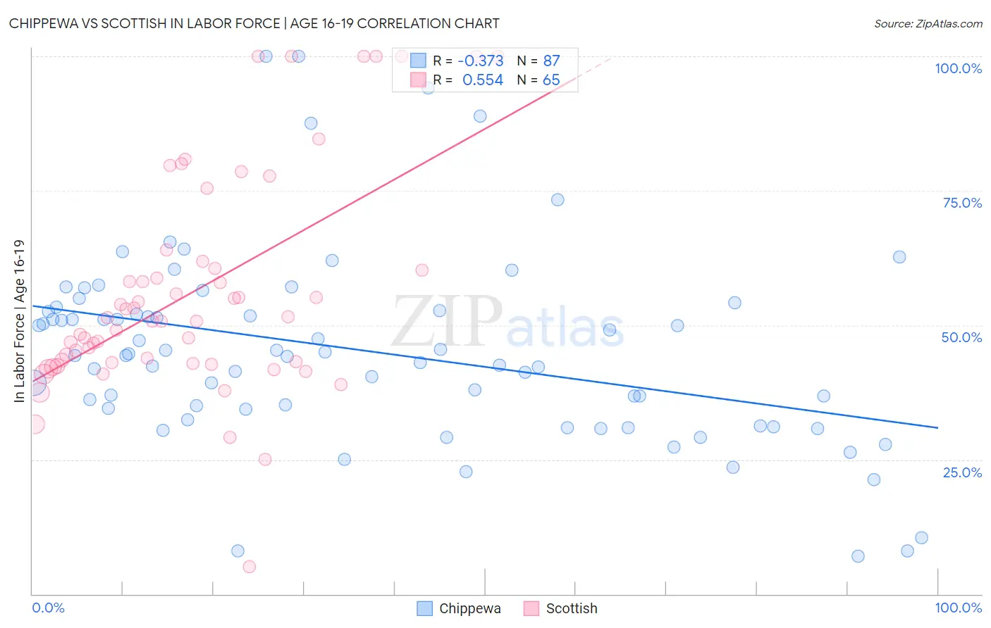 Chippewa vs Scottish In Labor Force | Age 16-19