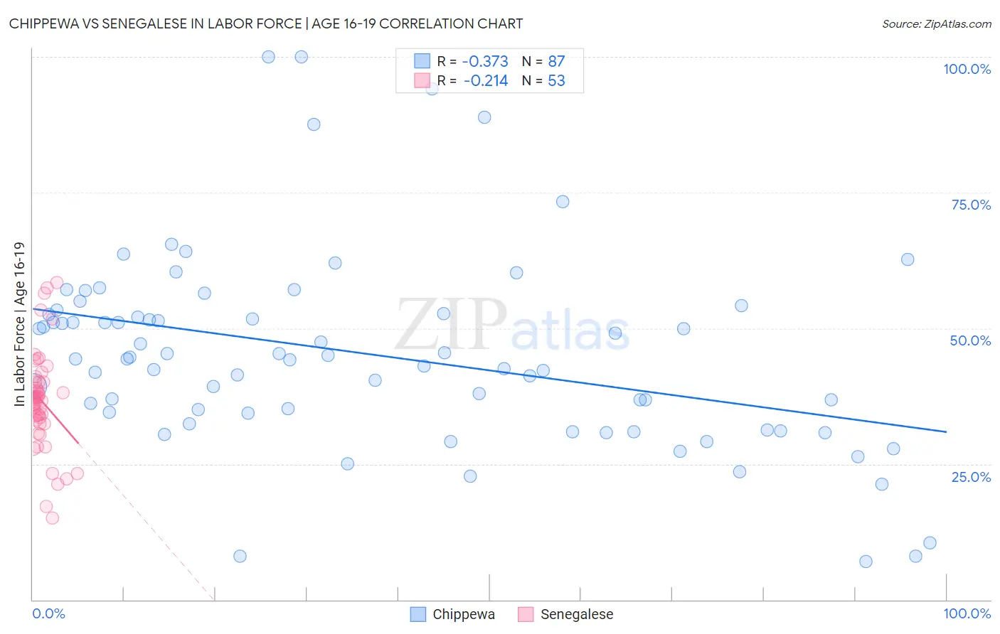 Chippewa vs Senegalese In Labor Force | Age 16-19