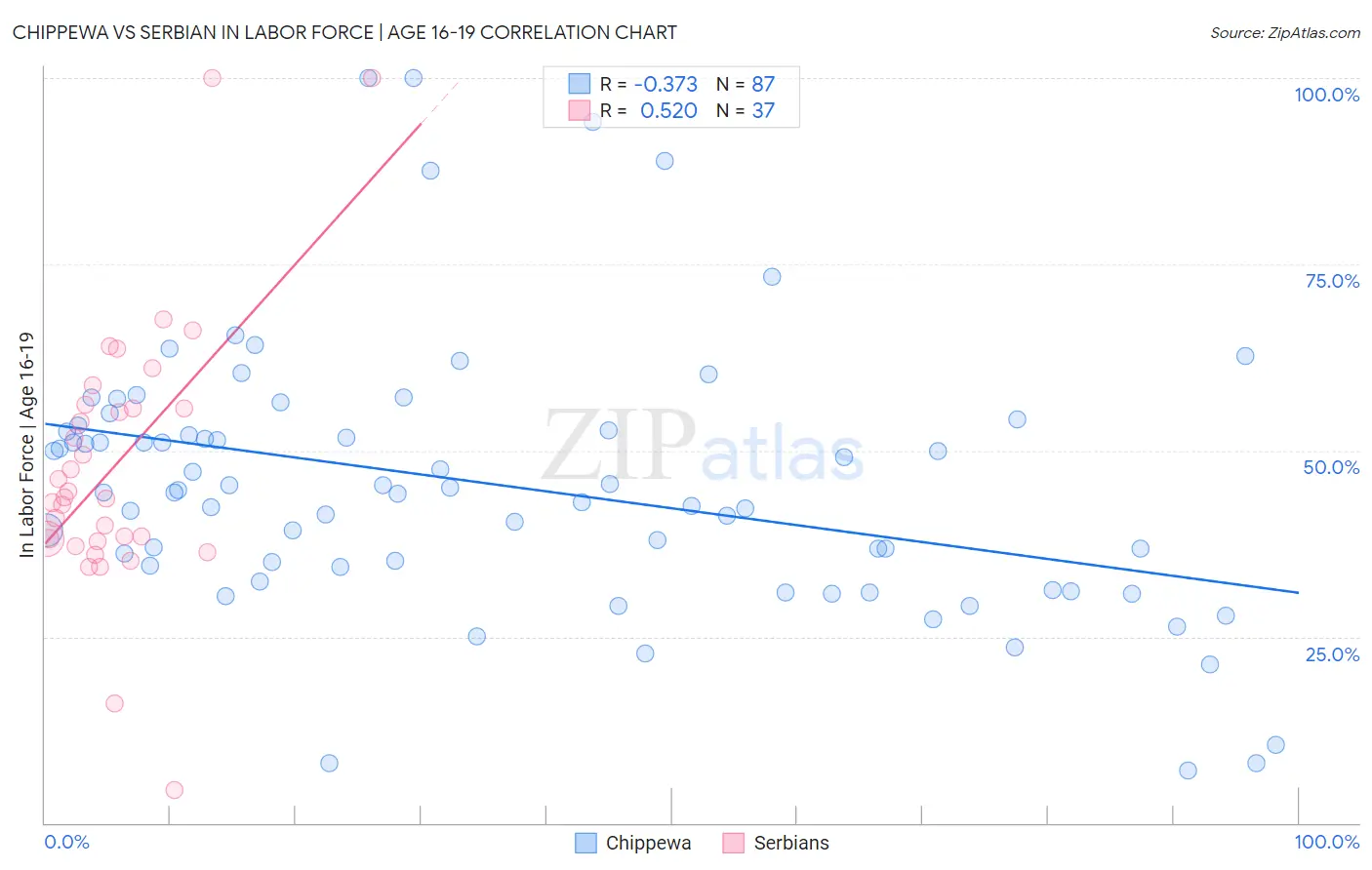 Chippewa vs Serbian In Labor Force | Age 16-19