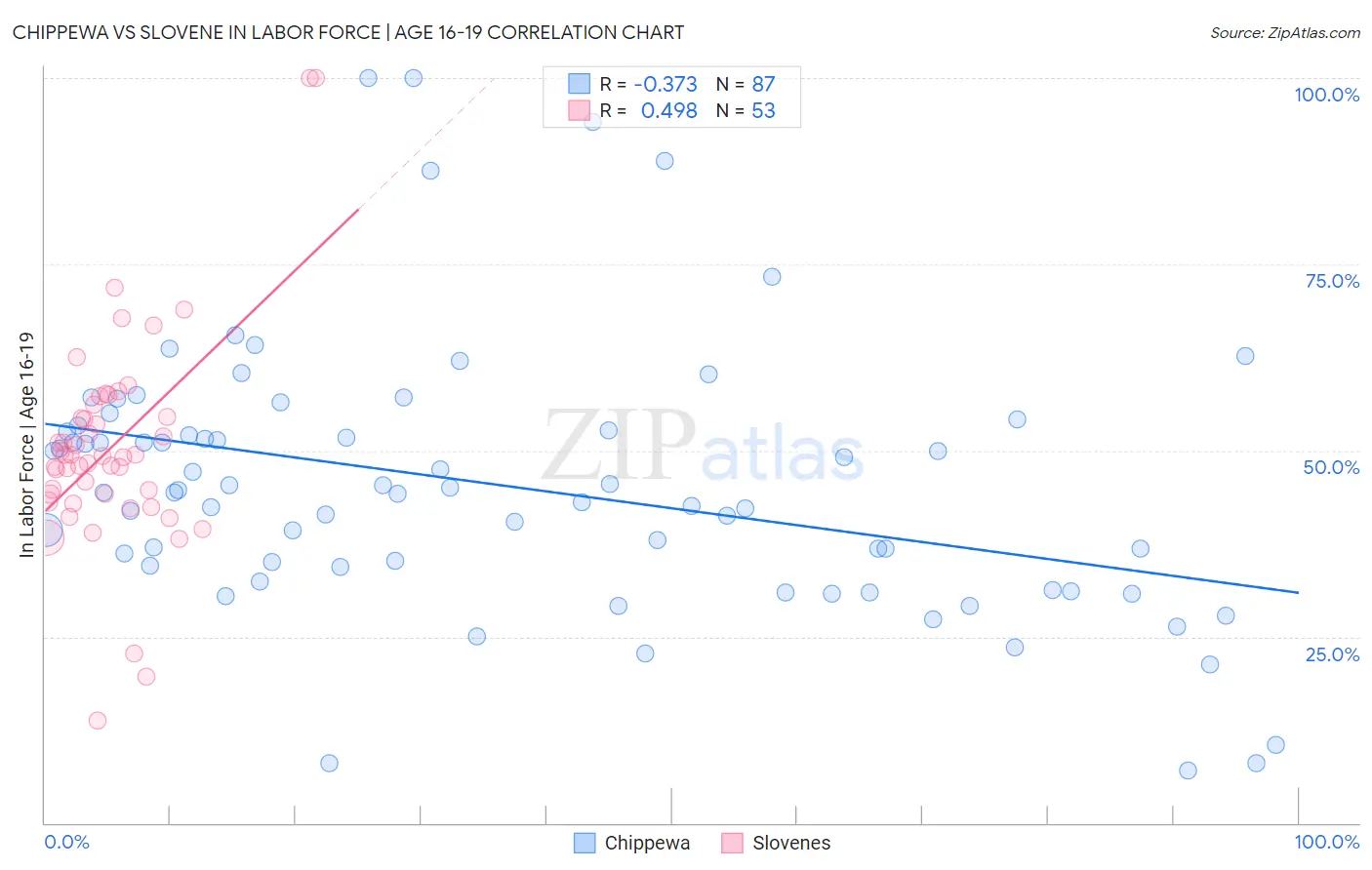 Chippewa vs Slovene In Labor Force | Age 16-19
