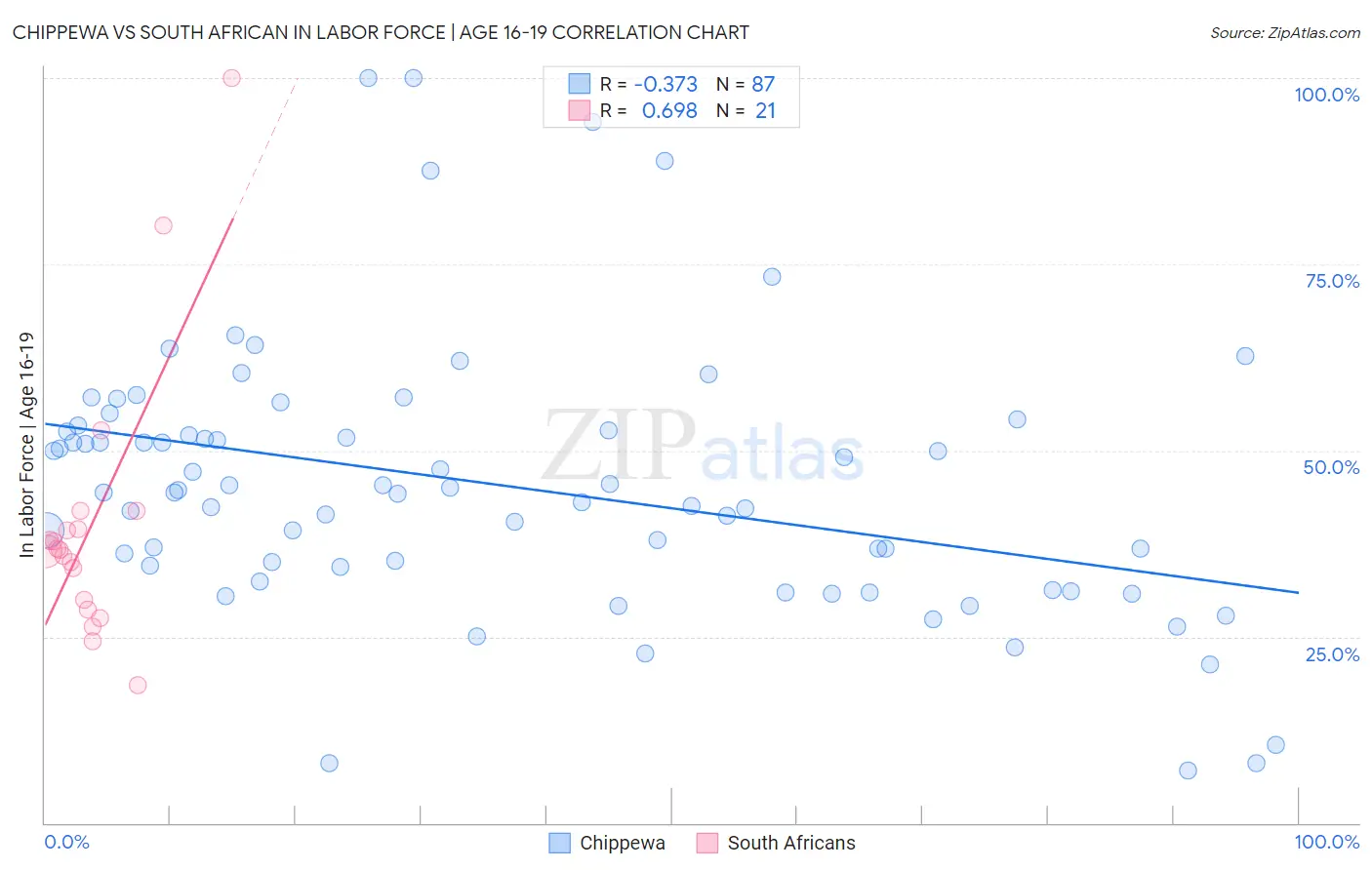 Chippewa vs South African In Labor Force | Age 16-19