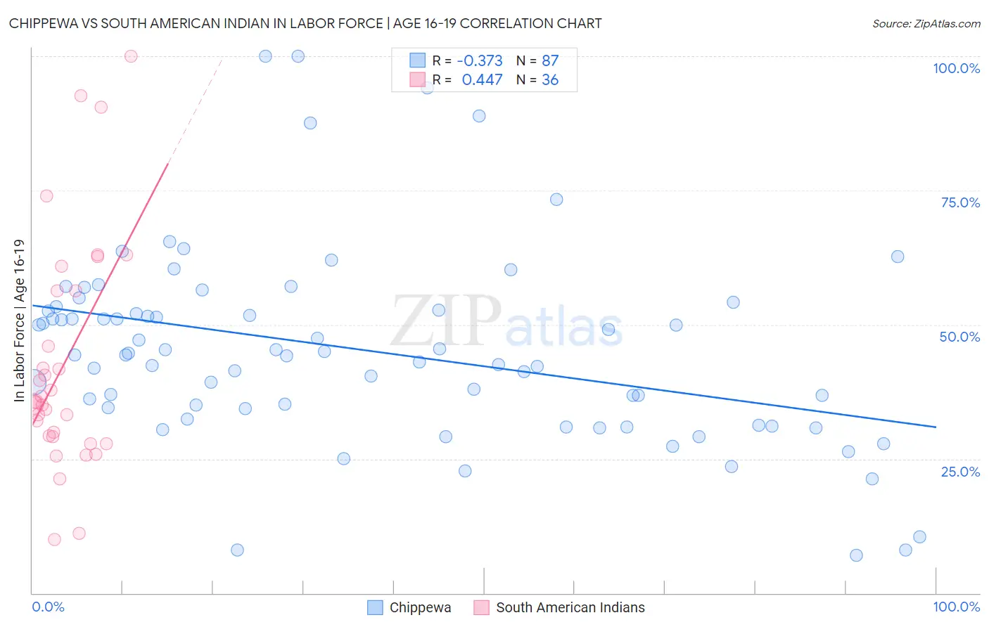 Chippewa vs South American Indian In Labor Force | Age 16-19