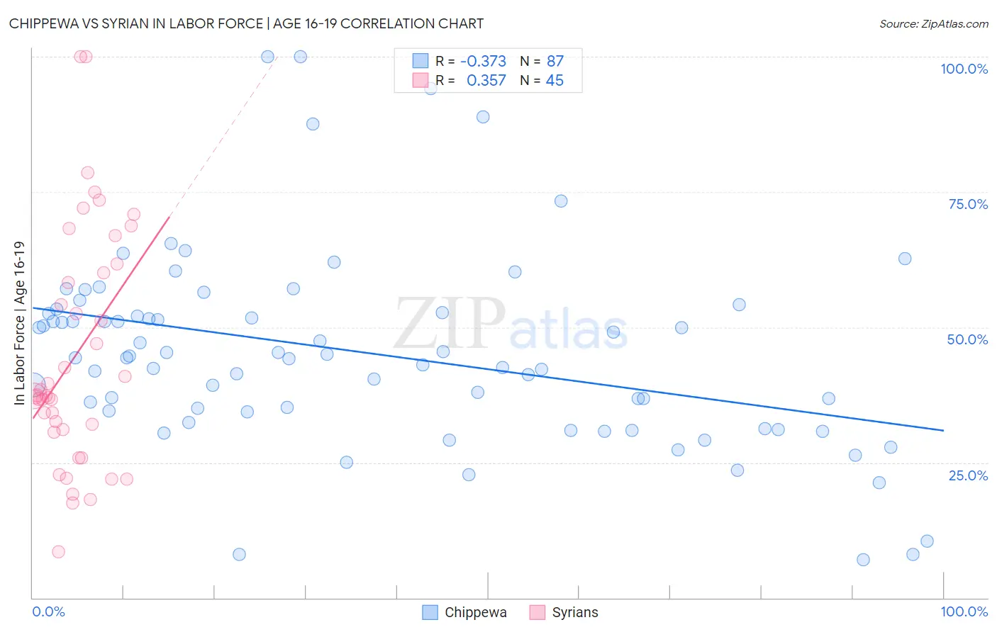 Chippewa vs Syrian In Labor Force | Age 16-19