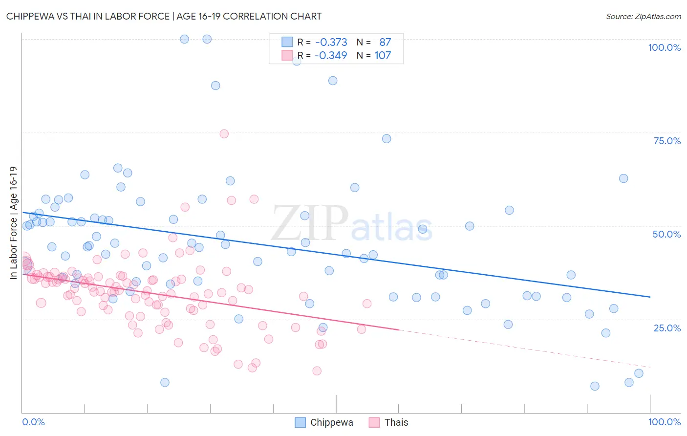 Chippewa vs Thai In Labor Force | Age 16-19