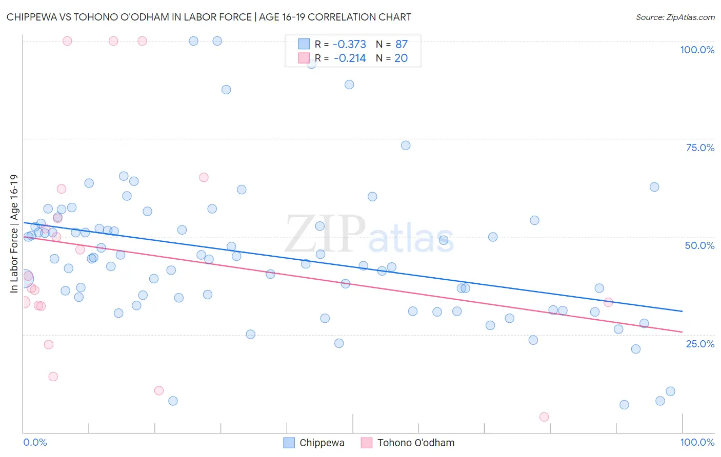 Chippewa vs Tohono O'odham In Labor Force | Age 16-19