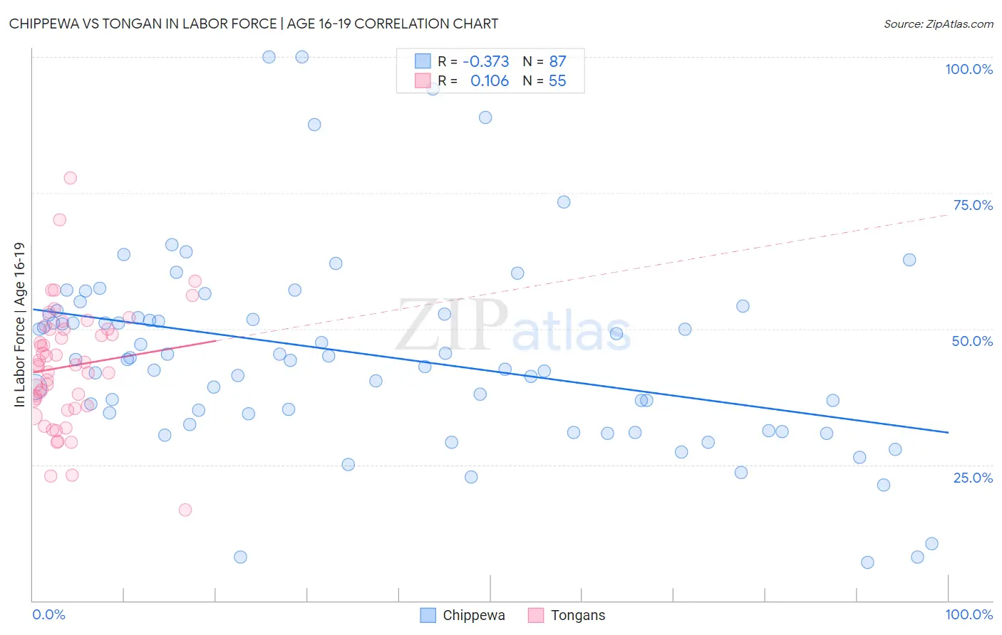 Chippewa vs Tongan In Labor Force | Age 16-19