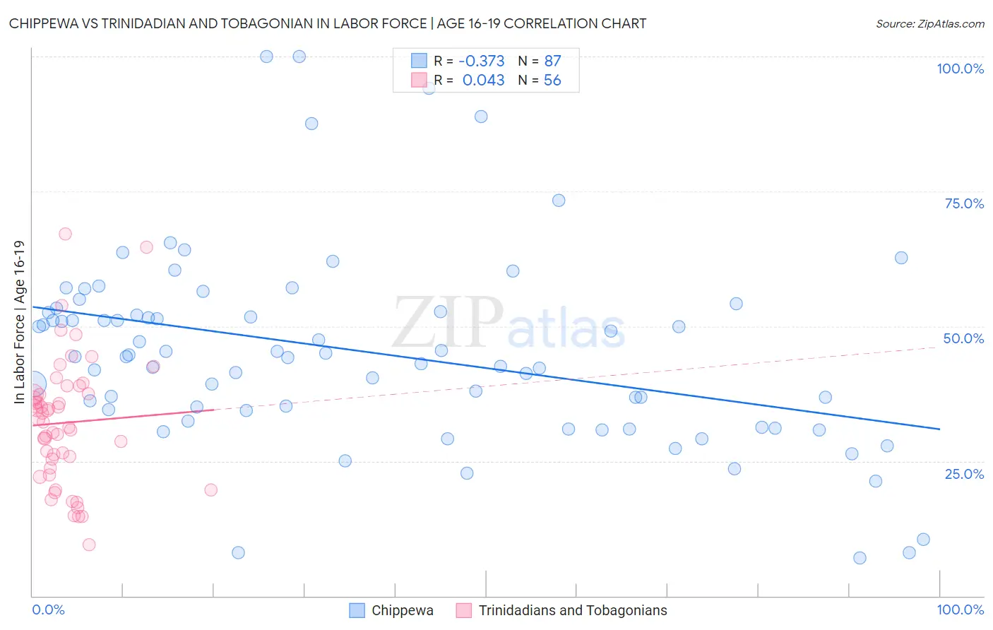 Chippewa vs Trinidadian and Tobagonian In Labor Force | Age 16-19