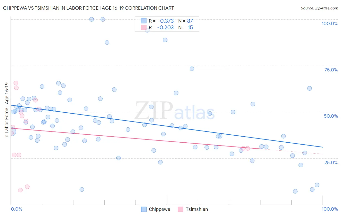 Chippewa vs Tsimshian In Labor Force | Age 16-19