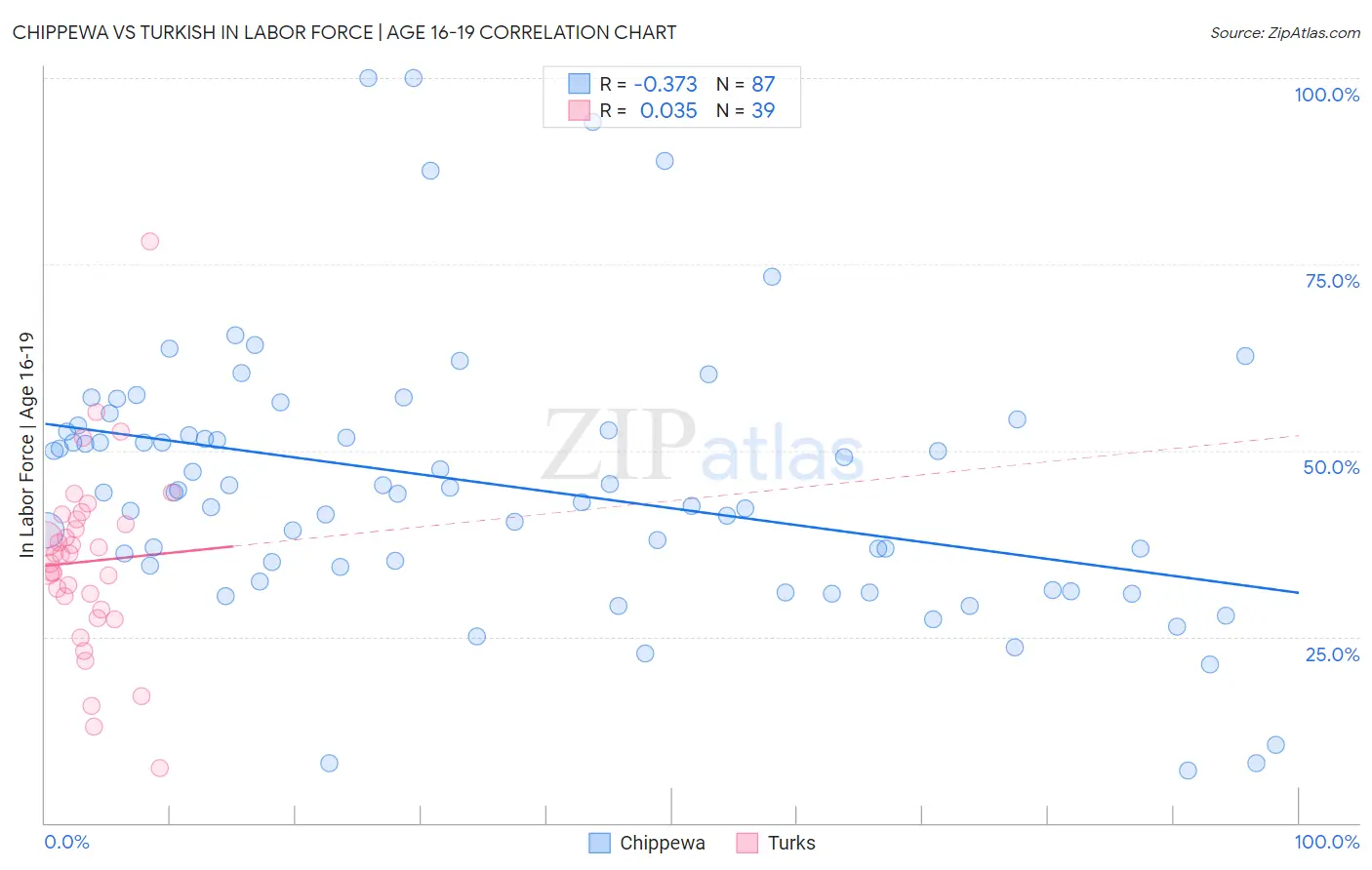 Chippewa vs Turkish In Labor Force | Age 16-19