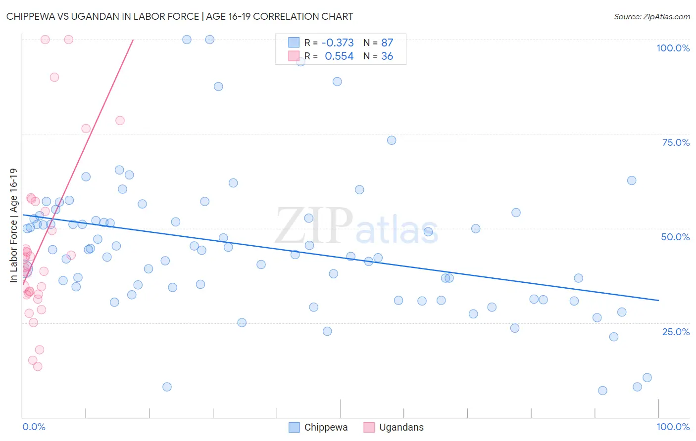 Chippewa vs Ugandan In Labor Force | Age 16-19