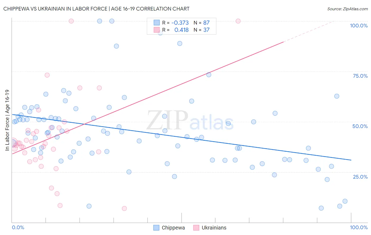 Chippewa vs Ukrainian In Labor Force | Age 16-19