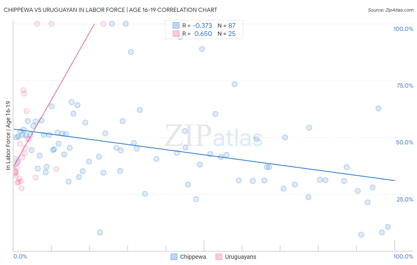 Chippewa vs Uruguayan In Labor Force | Age 16-19