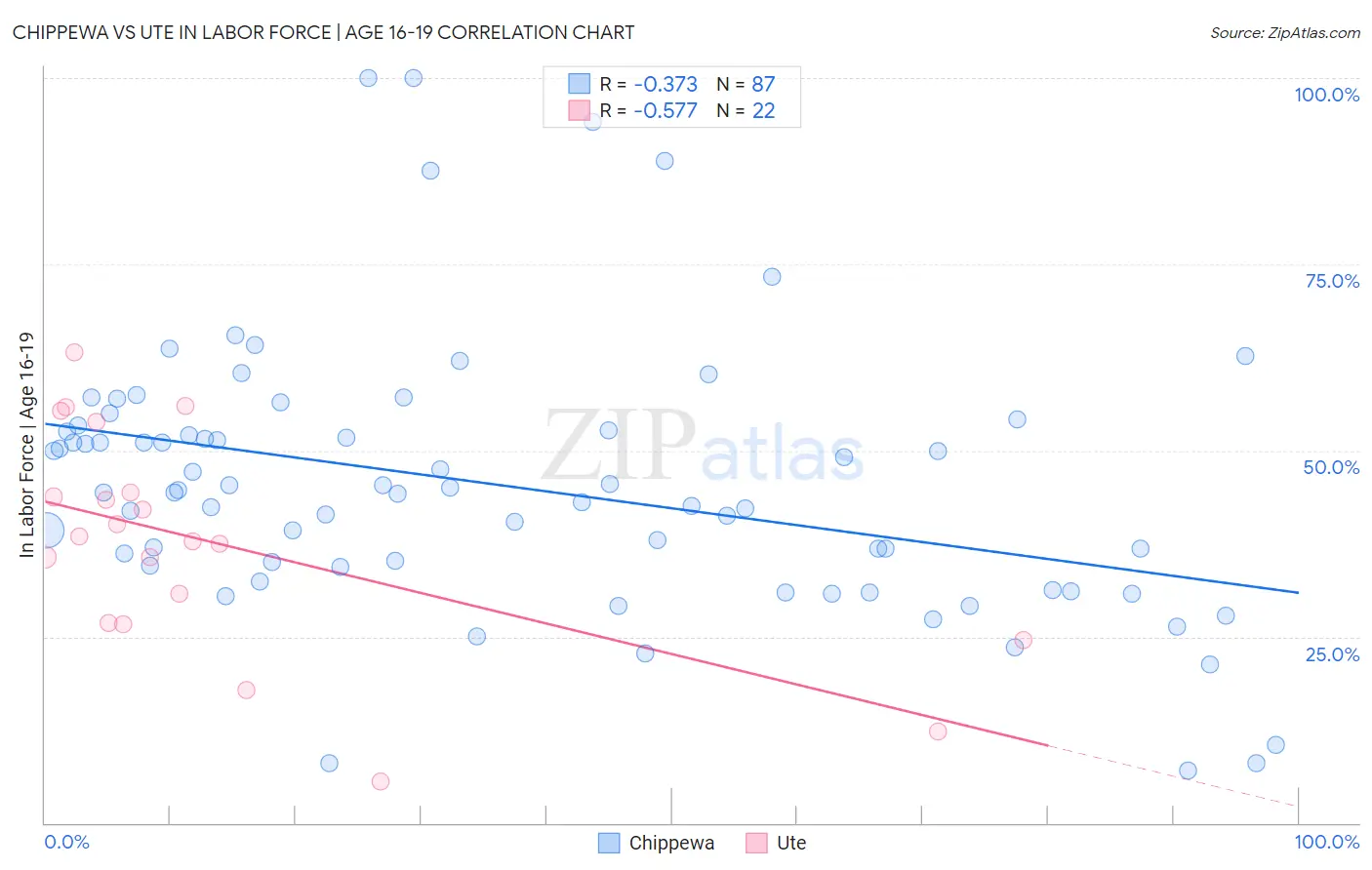 Chippewa vs Ute In Labor Force | Age 16-19