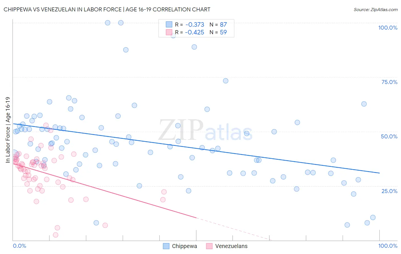 Chippewa vs Venezuelan In Labor Force | Age 16-19