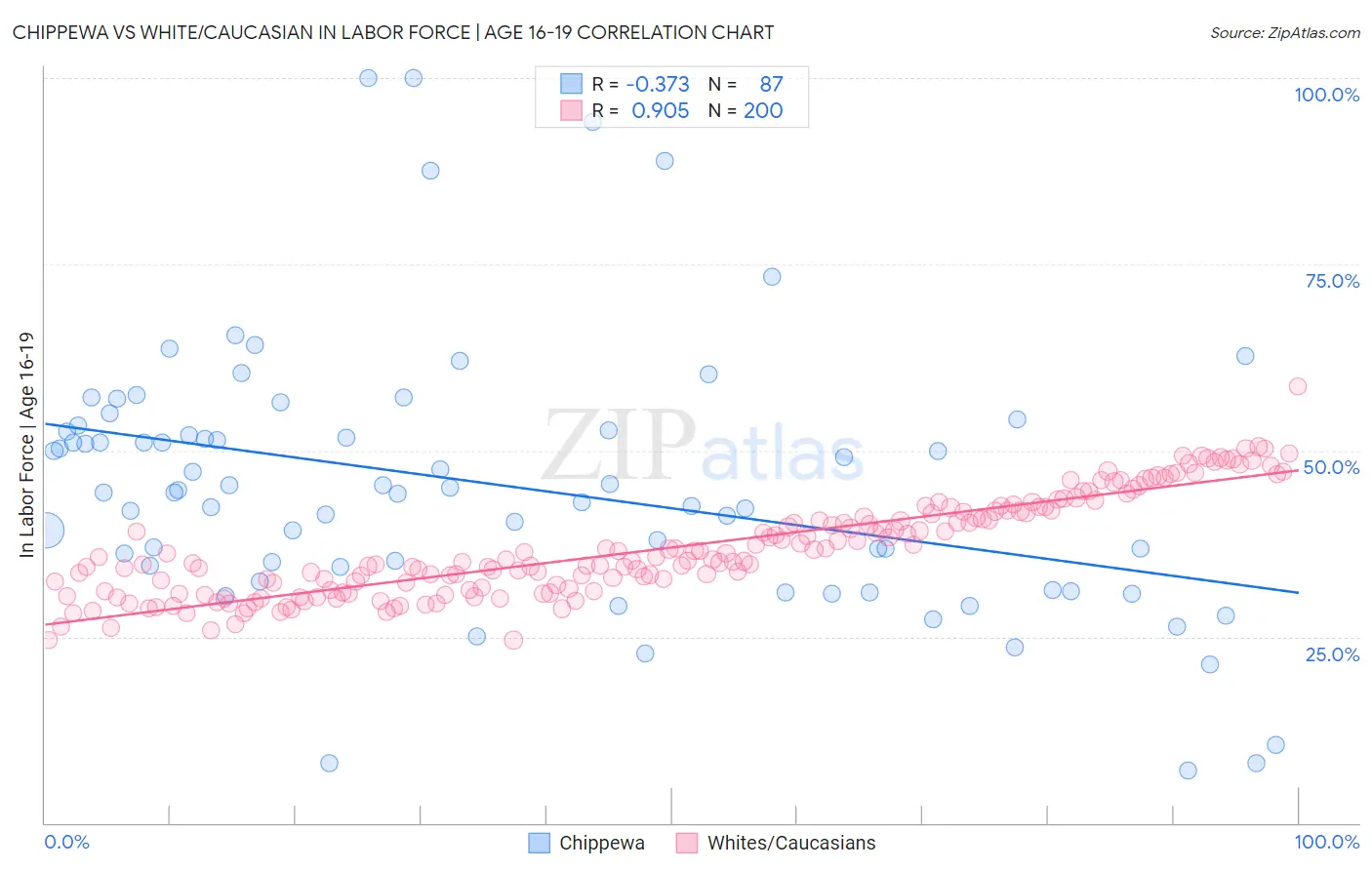 Chippewa vs White/Caucasian In Labor Force | Age 16-19