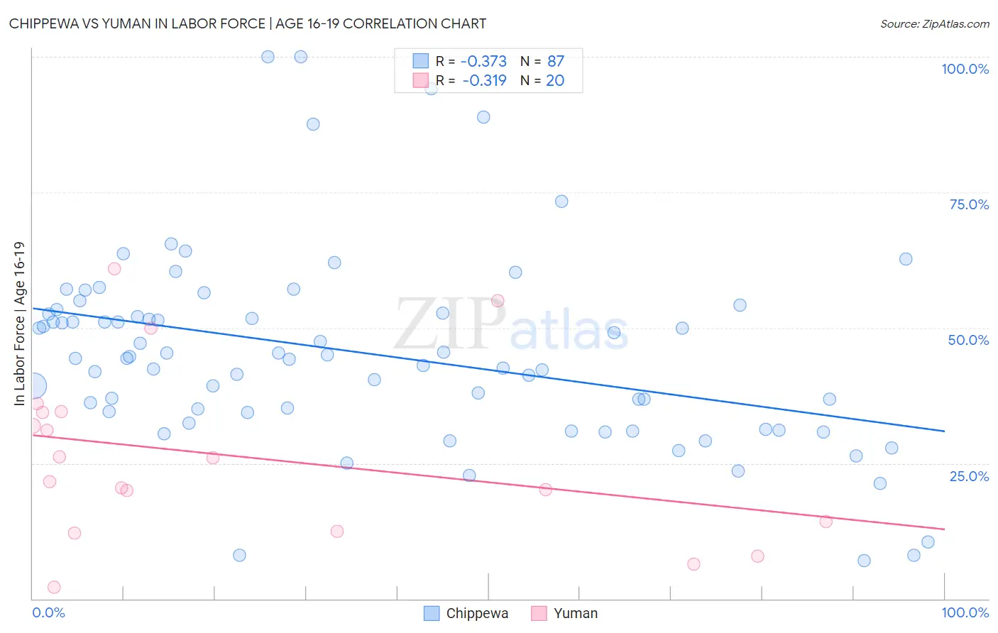 Chippewa vs Yuman In Labor Force | Age 16-19