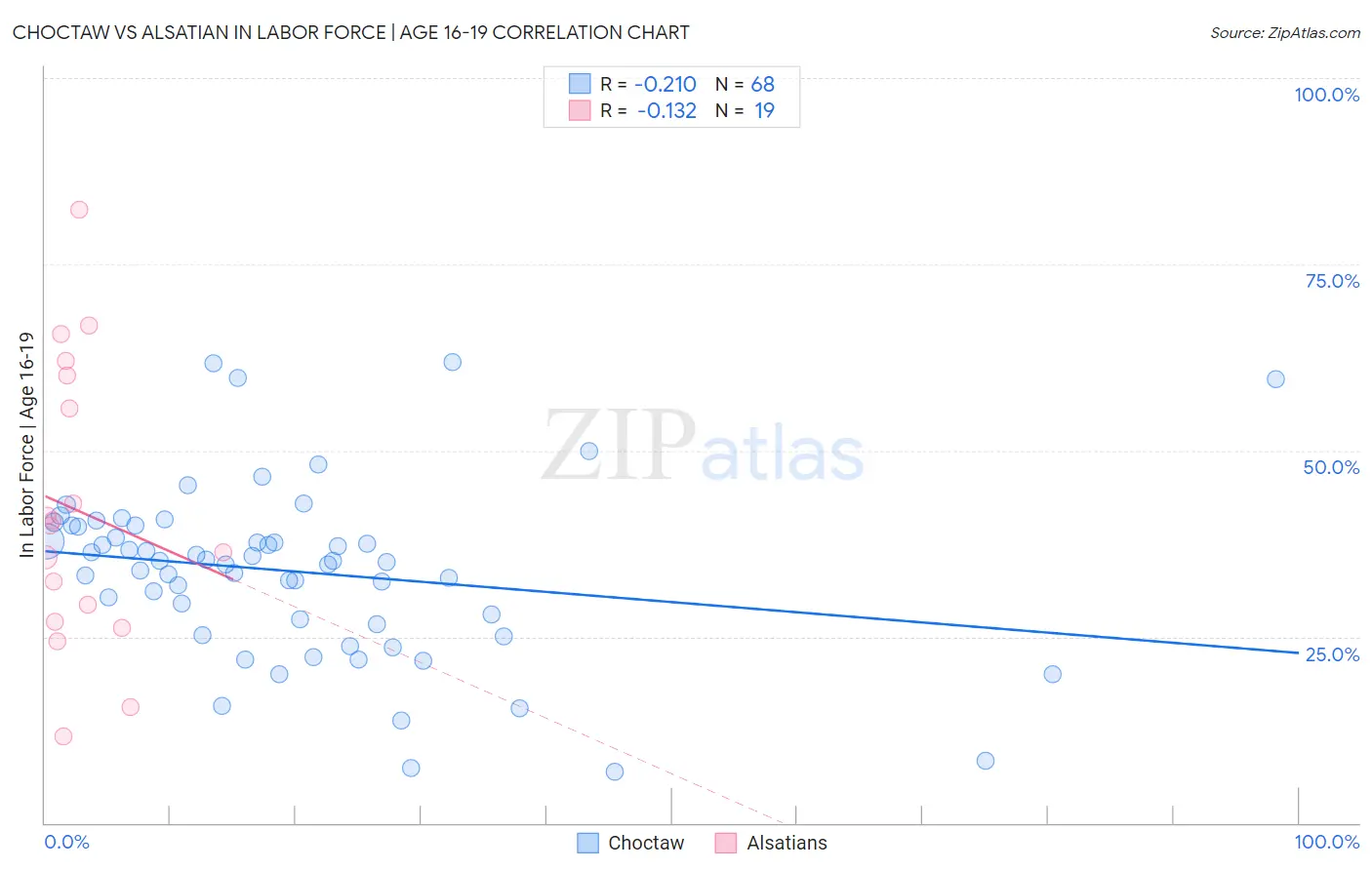 Choctaw vs Alsatian In Labor Force | Age 16-19