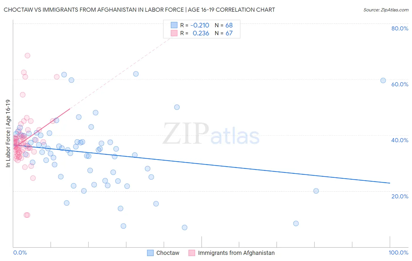Choctaw vs Immigrants from Afghanistan In Labor Force | Age 16-19