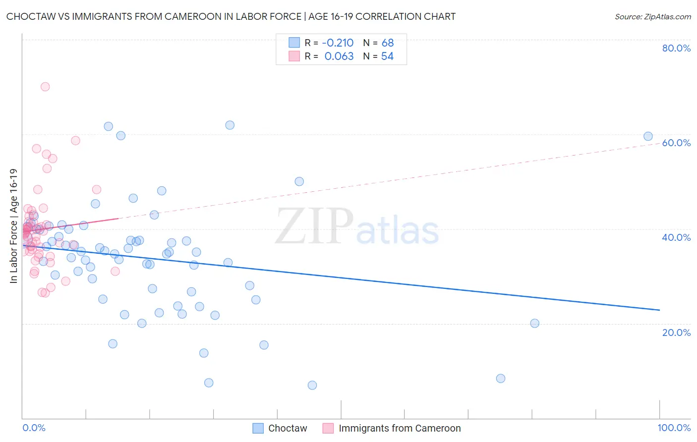 Choctaw vs Immigrants from Cameroon In Labor Force | Age 16-19