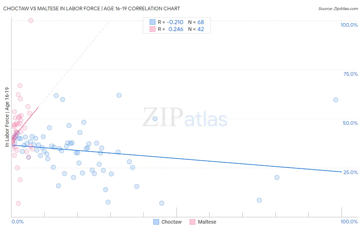 Choctaw vs Maltese In Labor Force | Age 16-19
