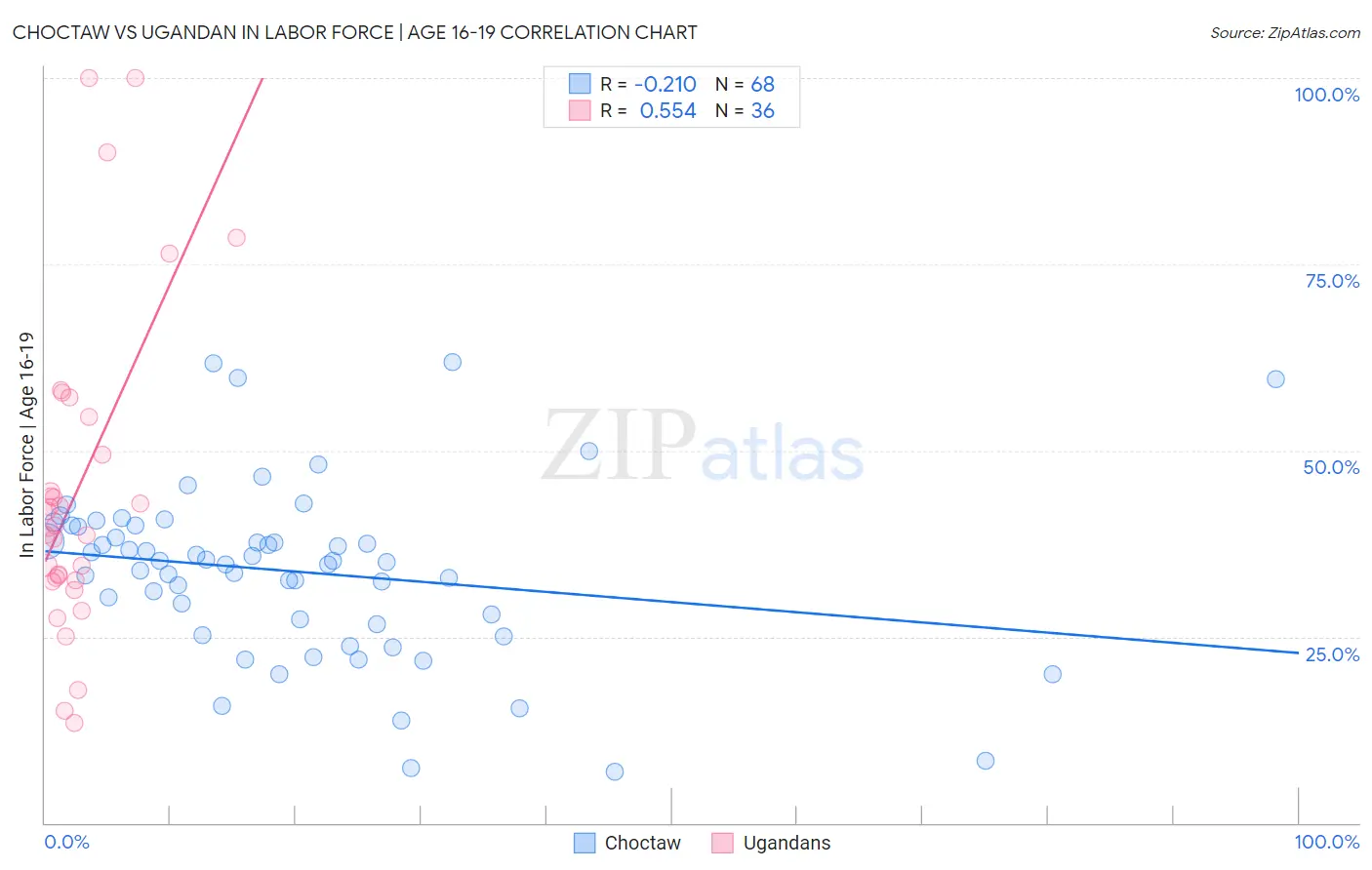 Choctaw vs Ugandan In Labor Force | Age 16-19