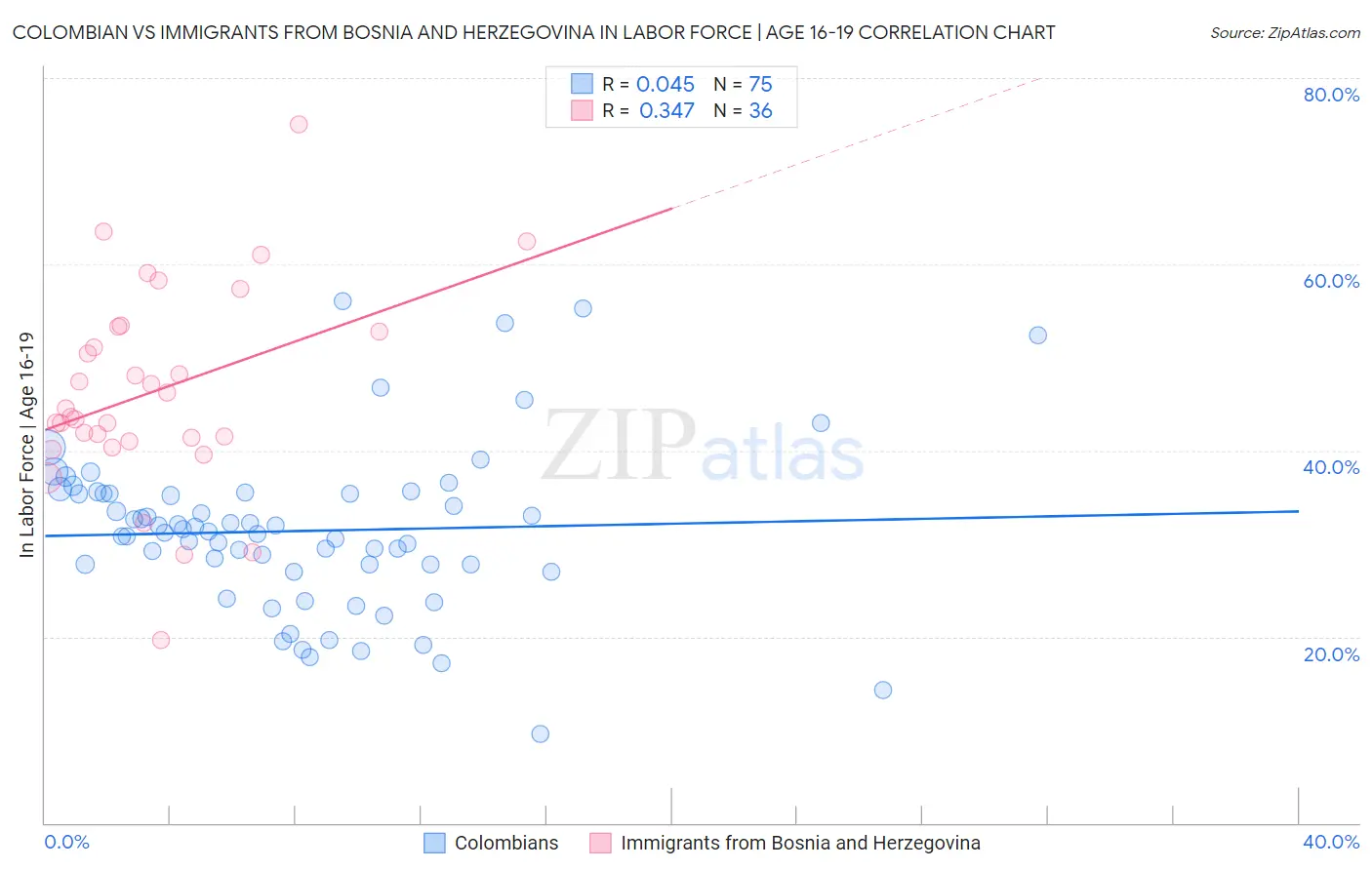 Colombian vs Immigrants from Bosnia and Herzegovina In Labor Force | Age 16-19