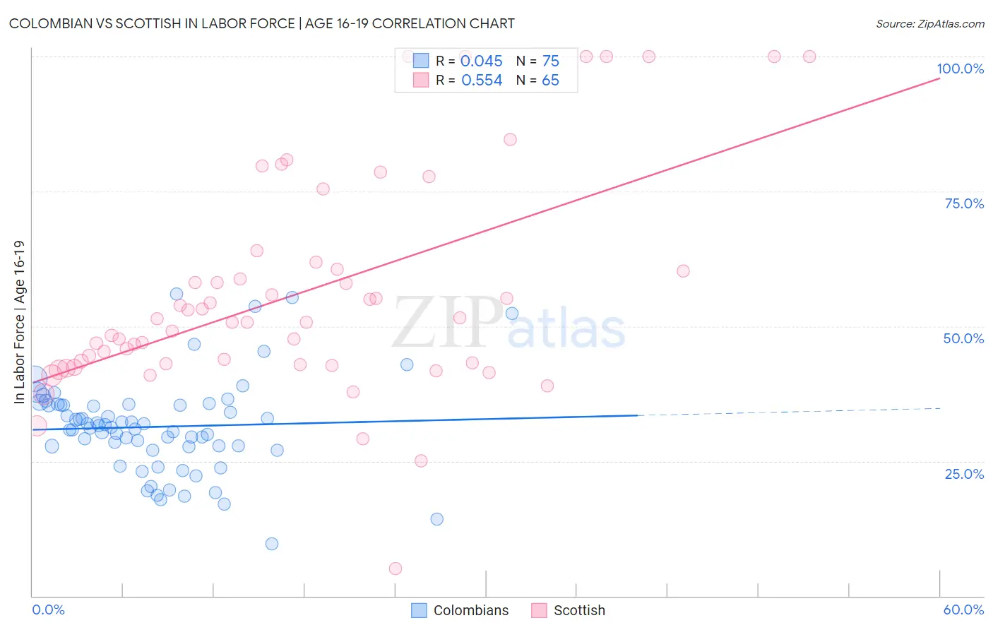 Colombian vs Scottish In Labor Force | Age 16-19