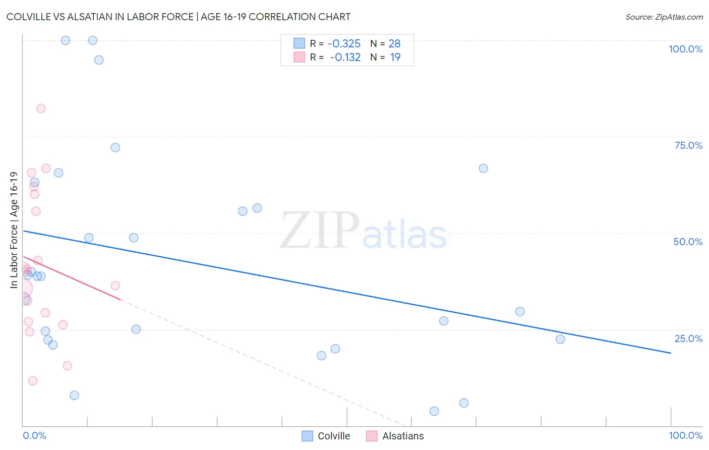 Colville vs Alsatian In Labor Force | Age 16-19