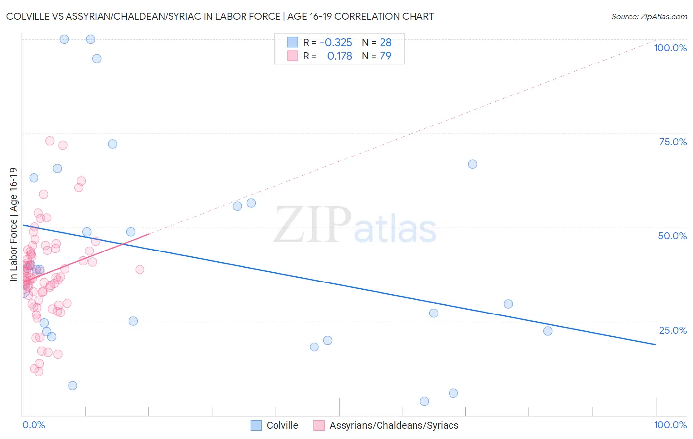 Colville vs Assyrian/Chaldean/Syriac In Labor Force | Age 16-19