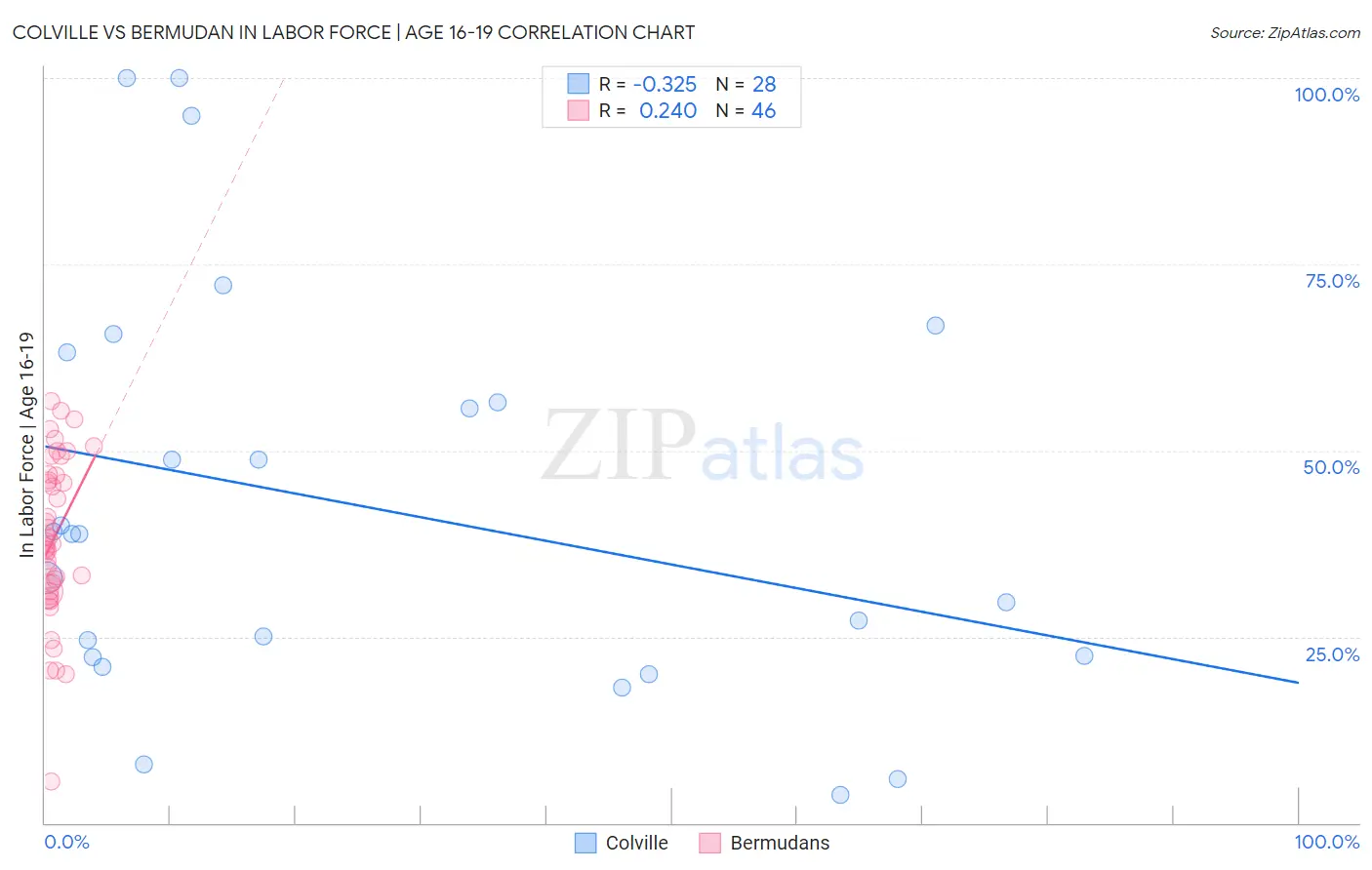 Colville vs Bermudan In Labor Force | Age 16-19