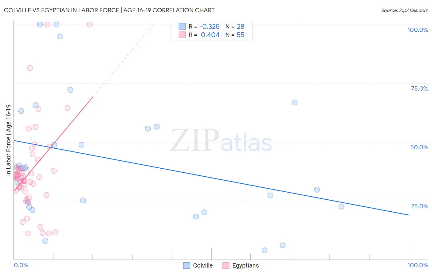 Colville vs Egyptian In Labor Force | Age 16-19