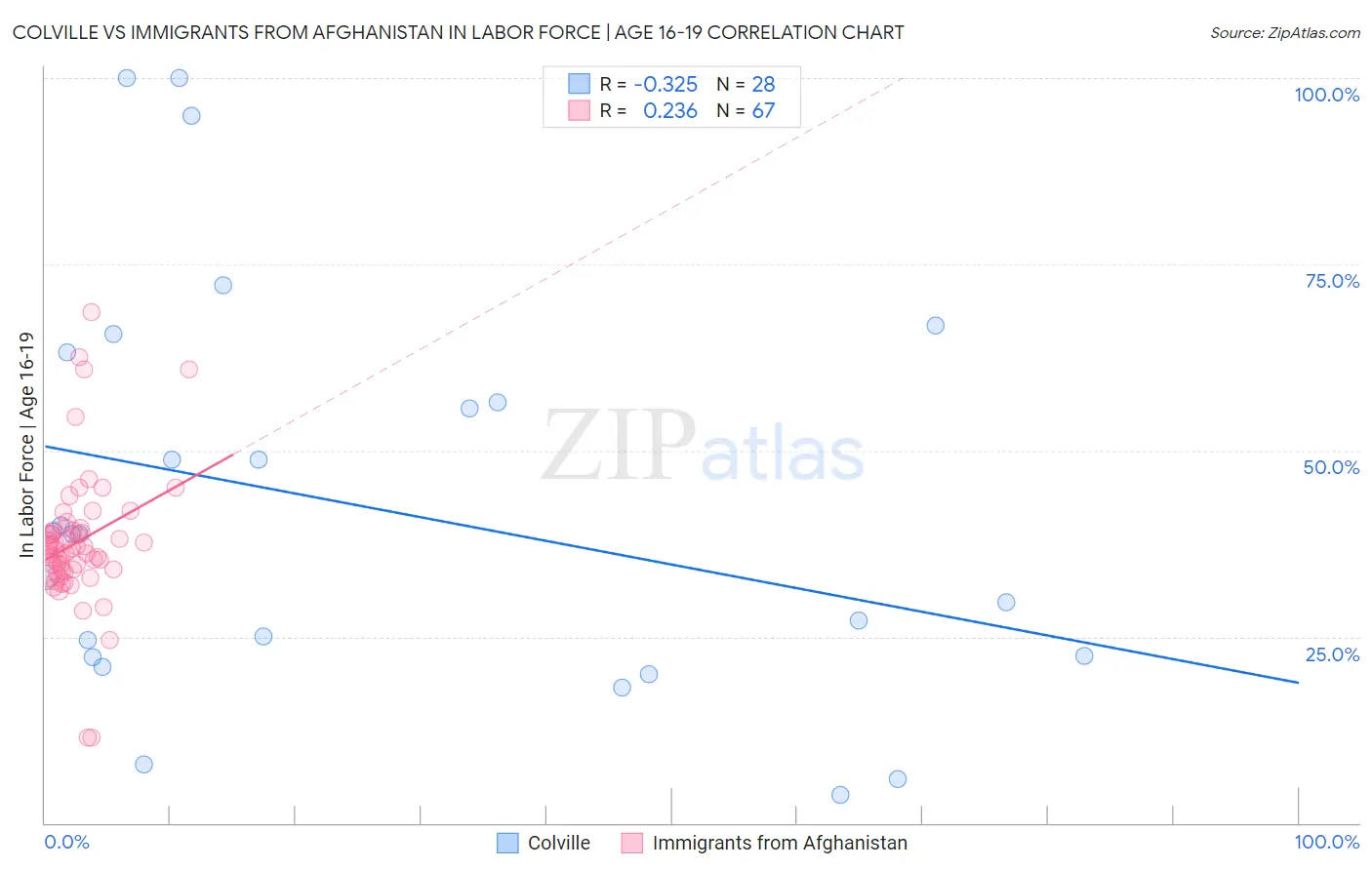 Colville vs Immigrants from Afghanistan In Labor Force | Age 16-19
