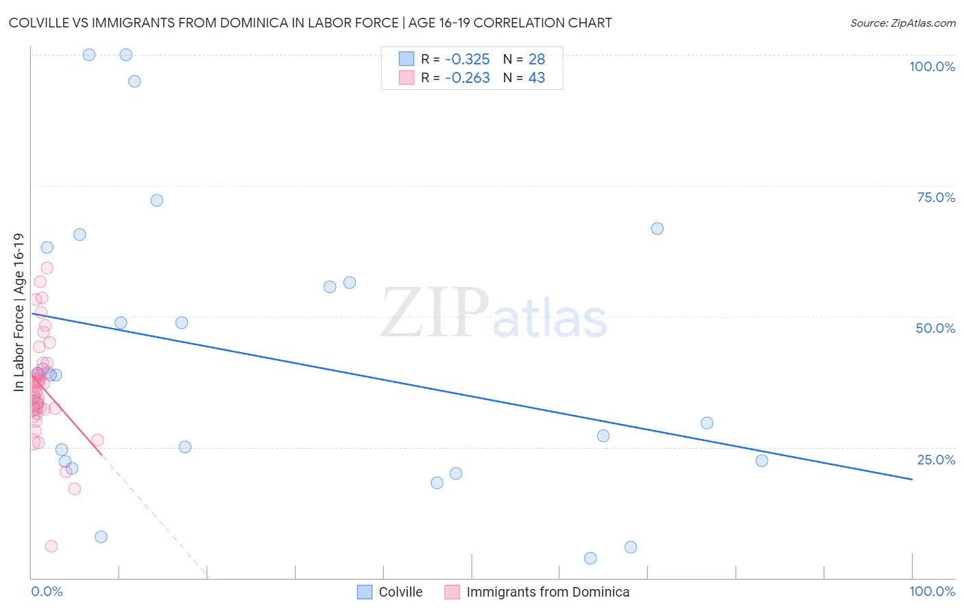 Colville vs Immigrants from Dominica In Labor Force | Age 16-19