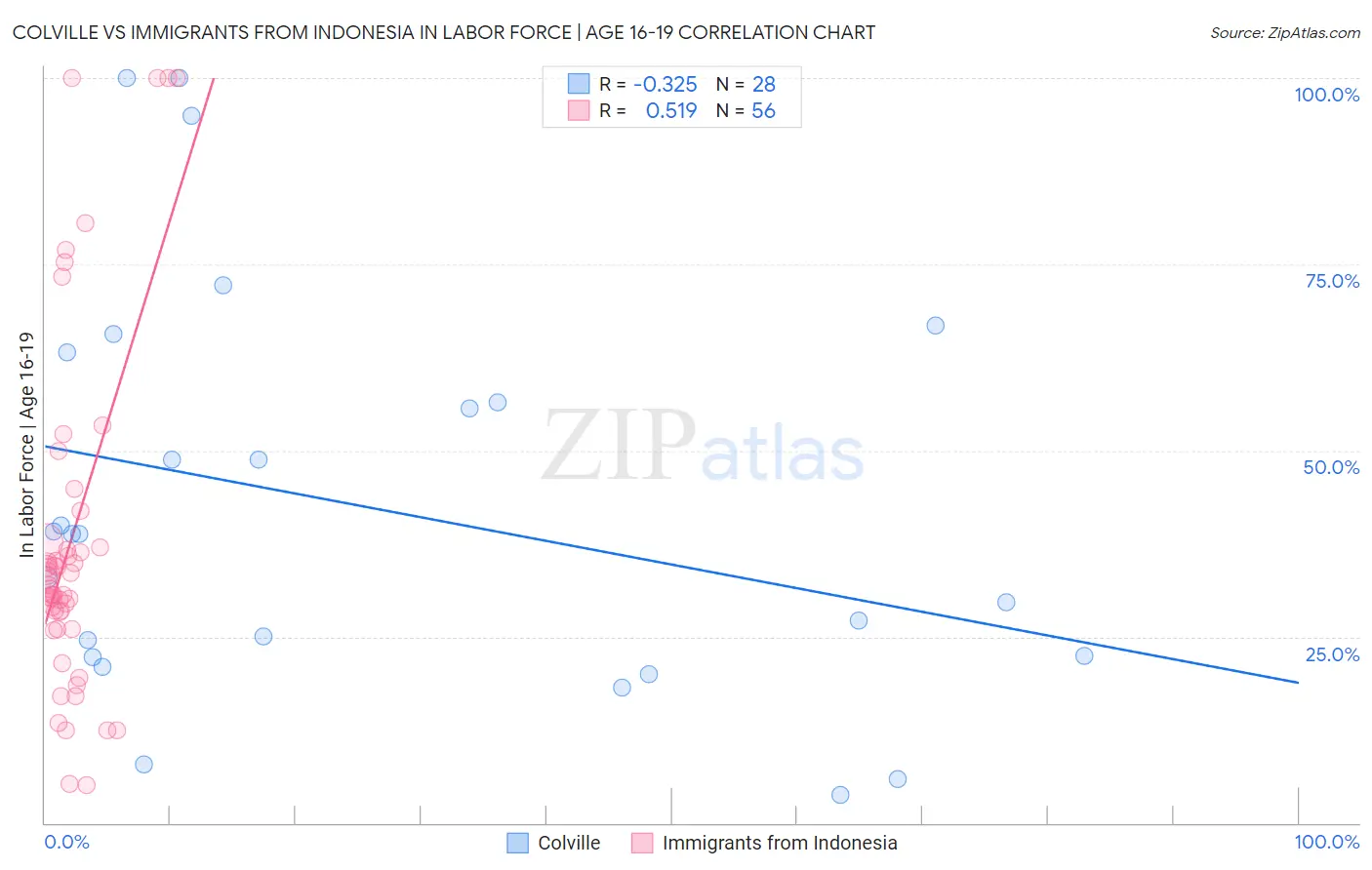 Colville vs Immigrants from Indonesia In Labor Force | Age 16-19