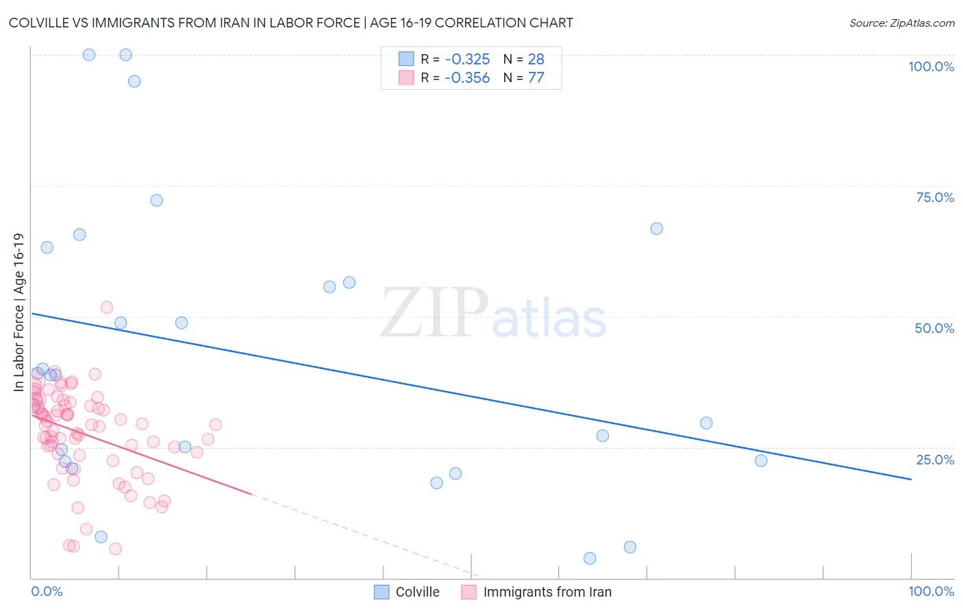 Colville vs Immigrants from Iran In Labor Force | Age 16-19