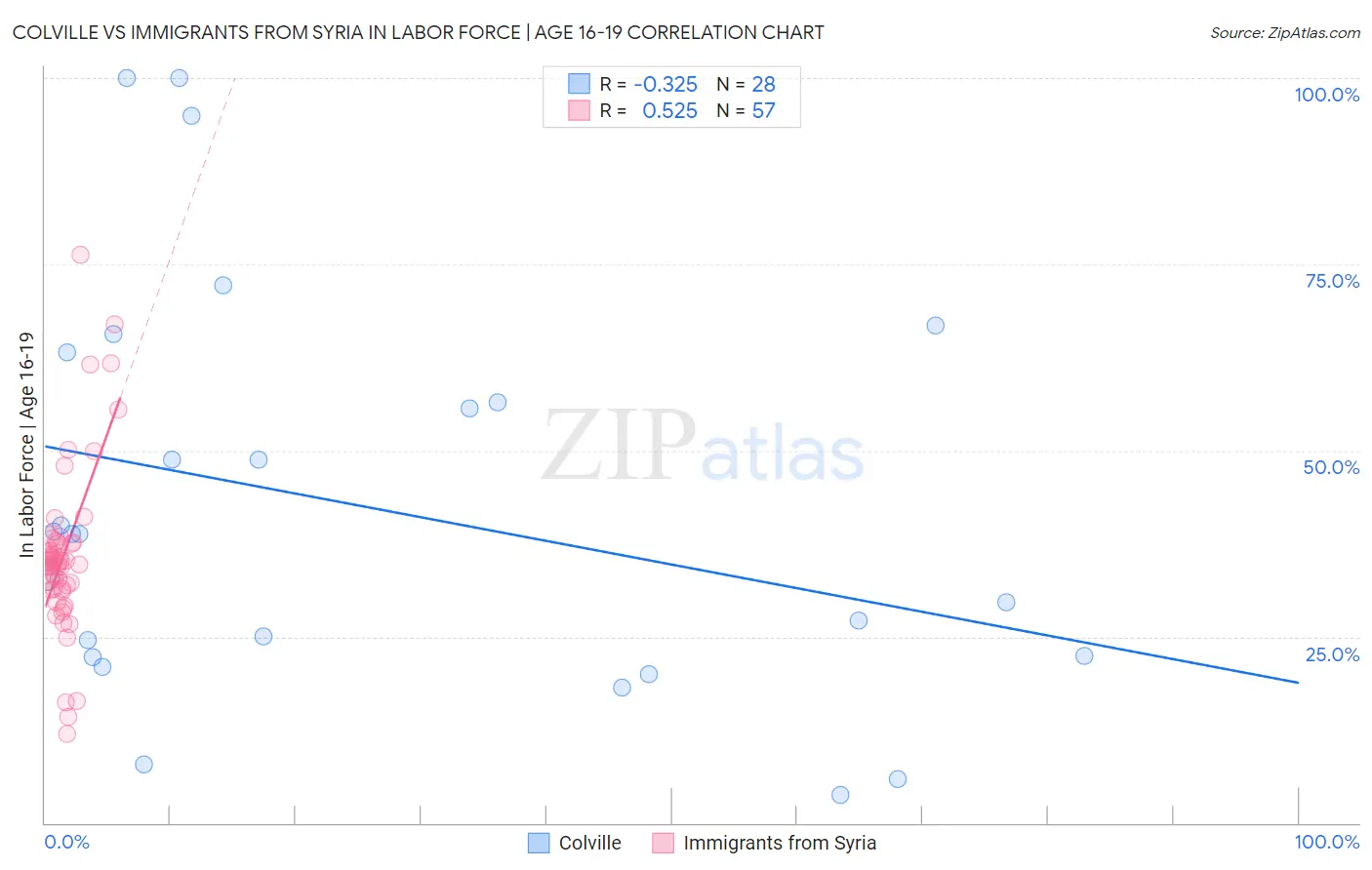 Colville vs Immigrants from Syria In Labor Force | Age 16-19