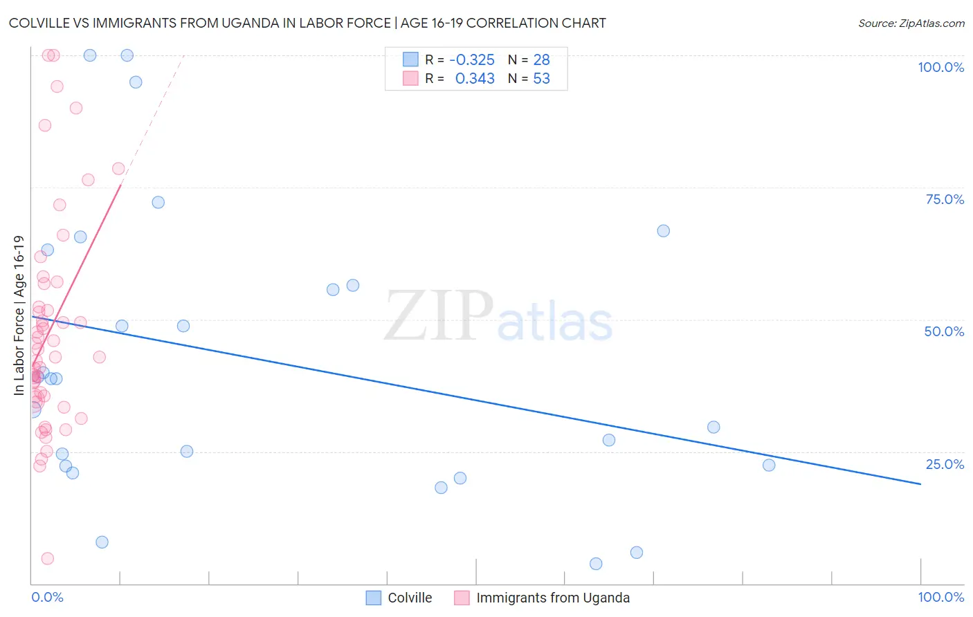 Colville vs Immigrants from Uganda In Labor Force | Age 16-19