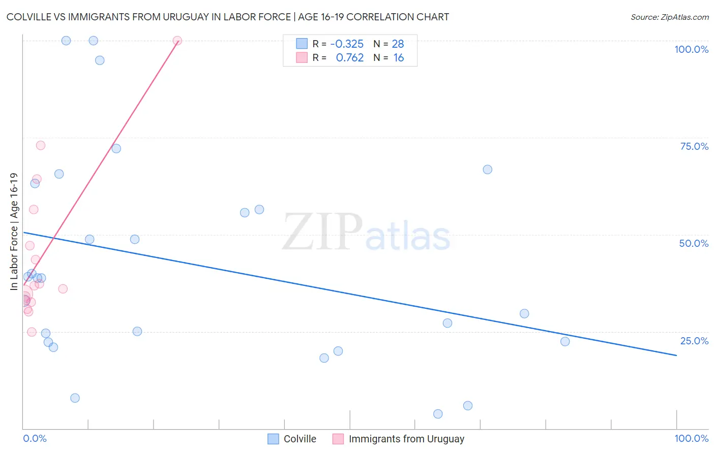 Colville vs Immigrants from Uruguay In Labor Force | Age 16-19