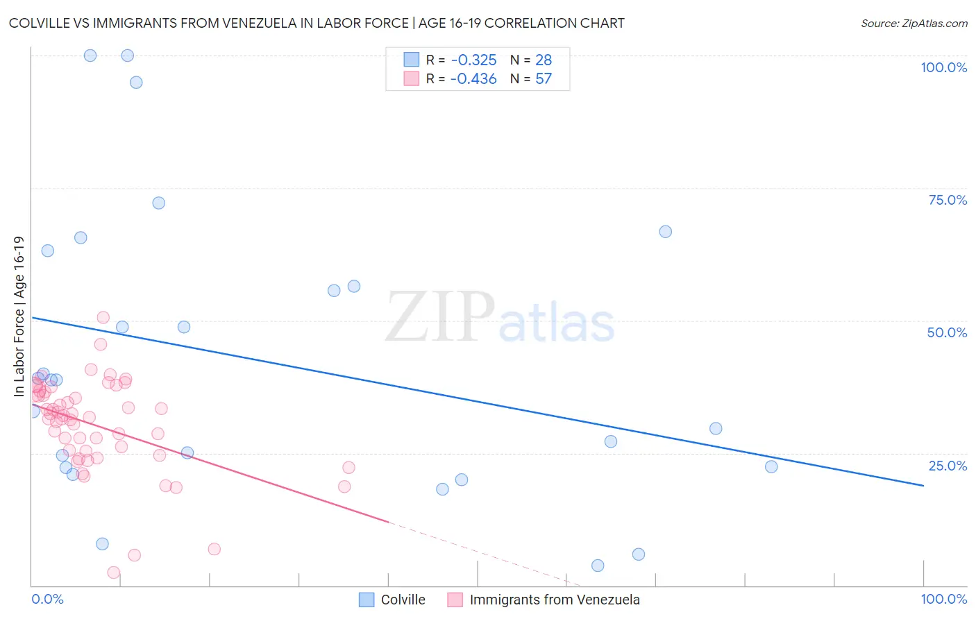 Colville vs Immigrants from Venezuela In Labor Force | Age 16-19