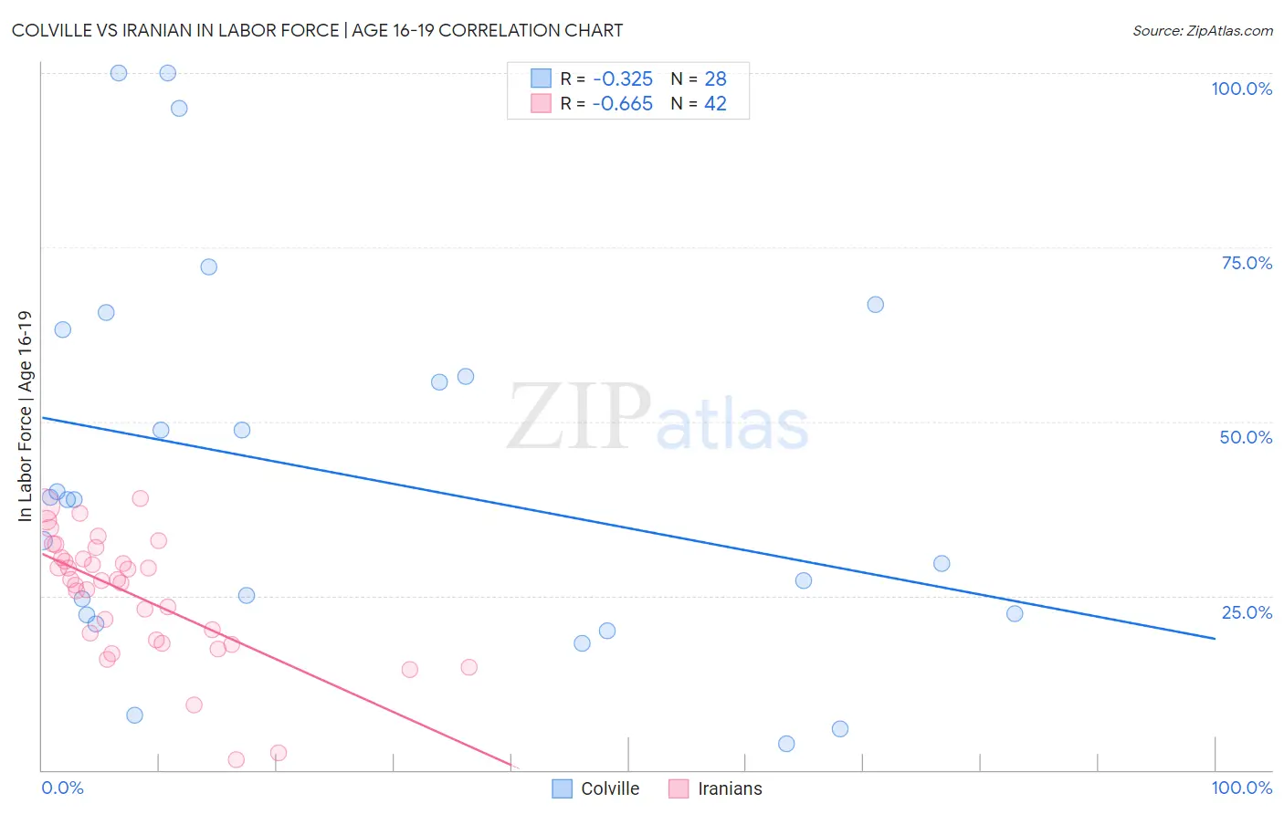 Colville vs Iranian In Labor Force | Age 16-19