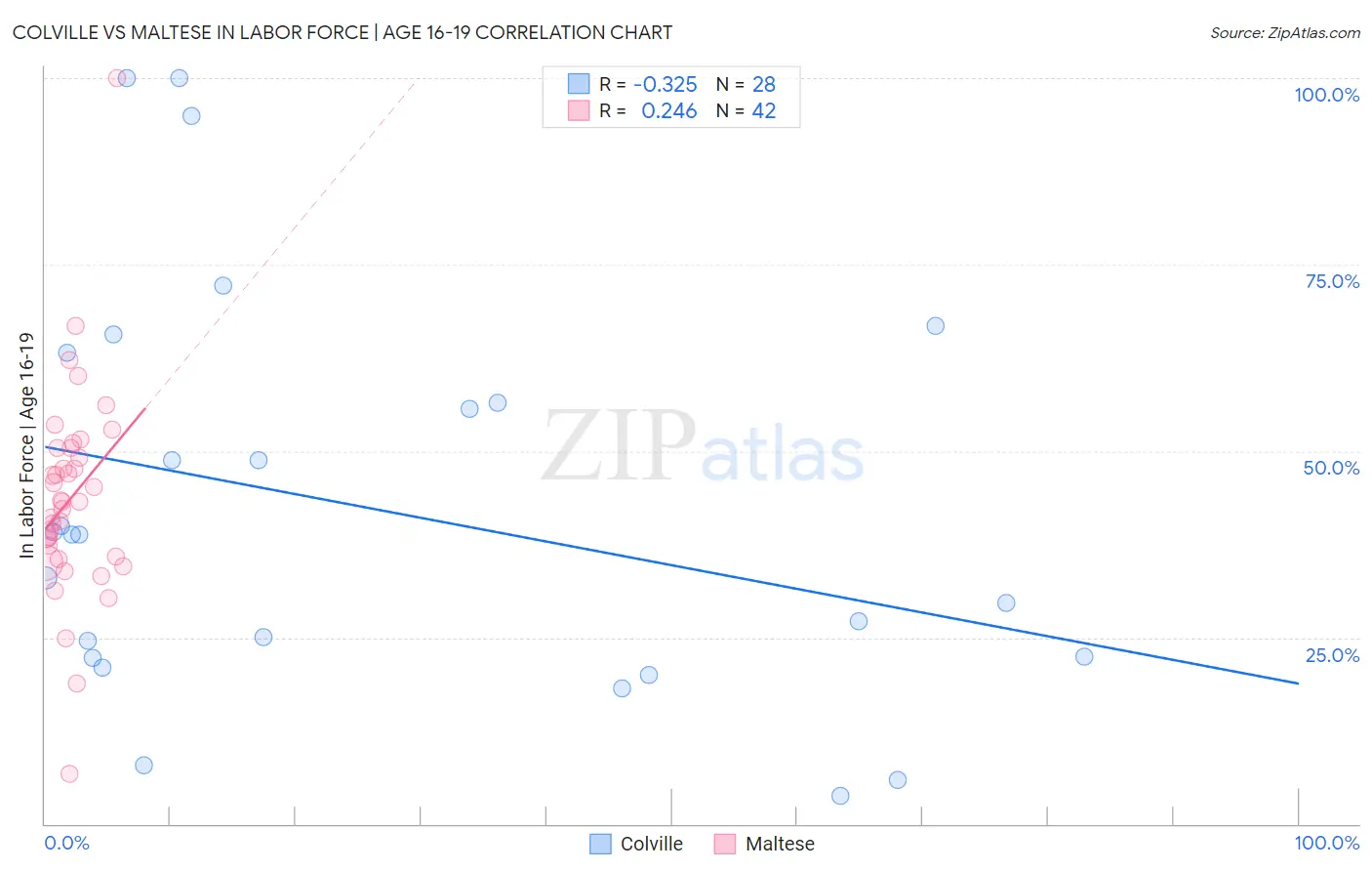 Colville vs Maltese In Labor Force | Age 16-19