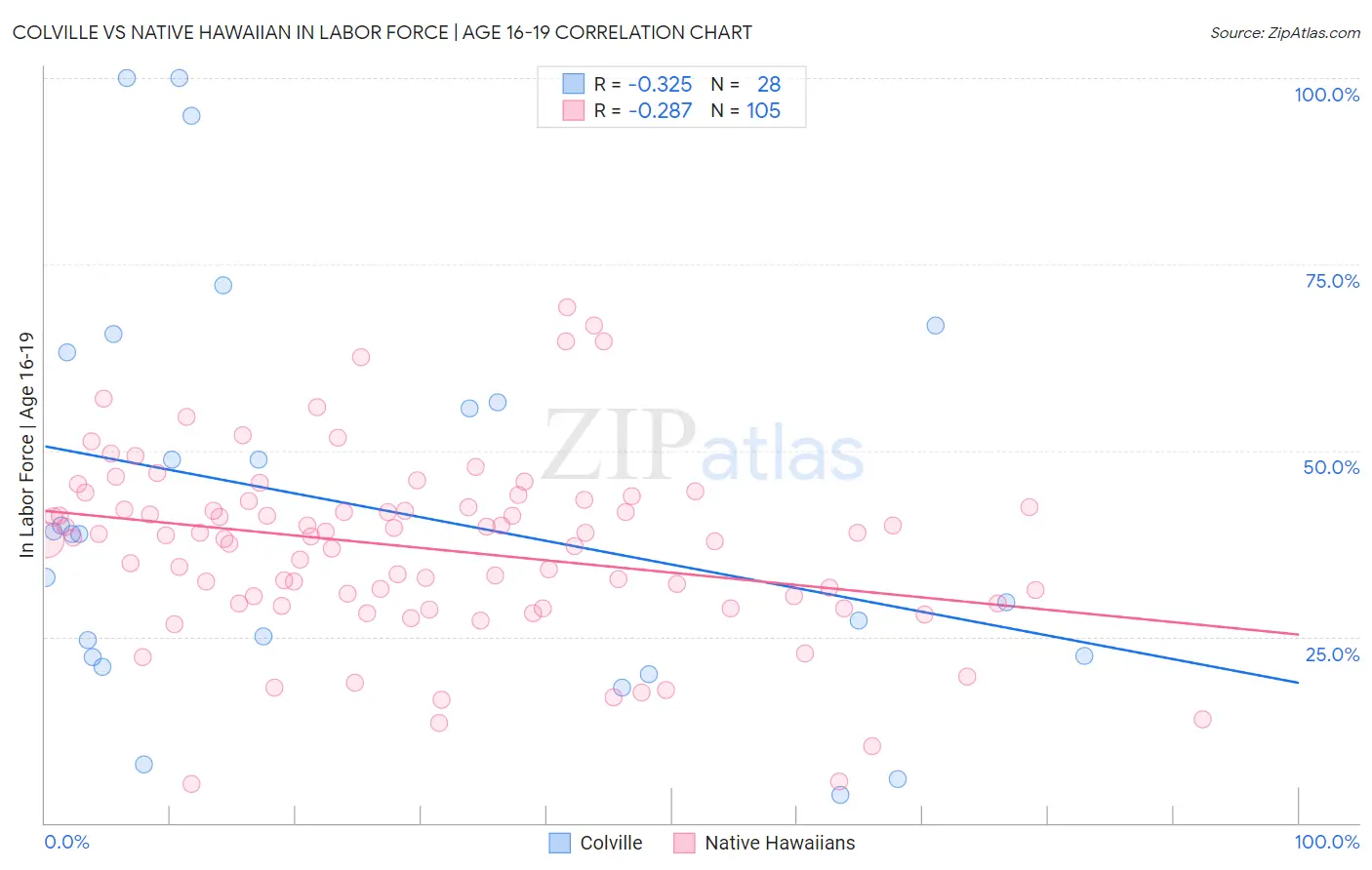 Colville vs Native Hawaiian In Labor Force | Age 16-19
