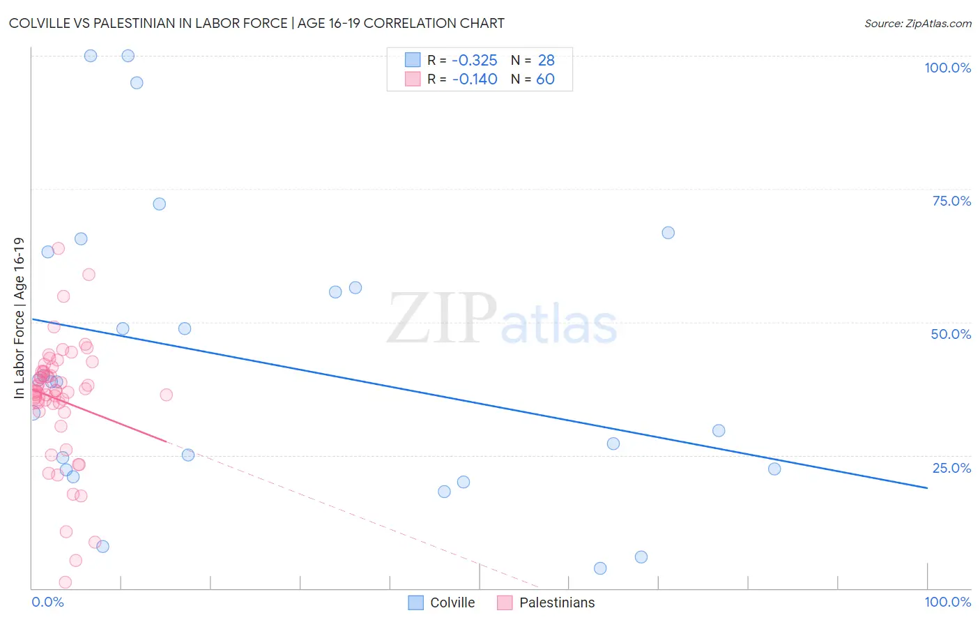 Colville vs Palestinian In Labor Force | Age 16-19