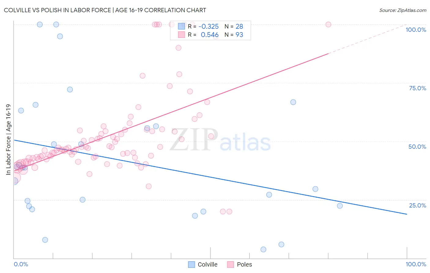 Colville vs Polish In Labor Force | Age 16-19