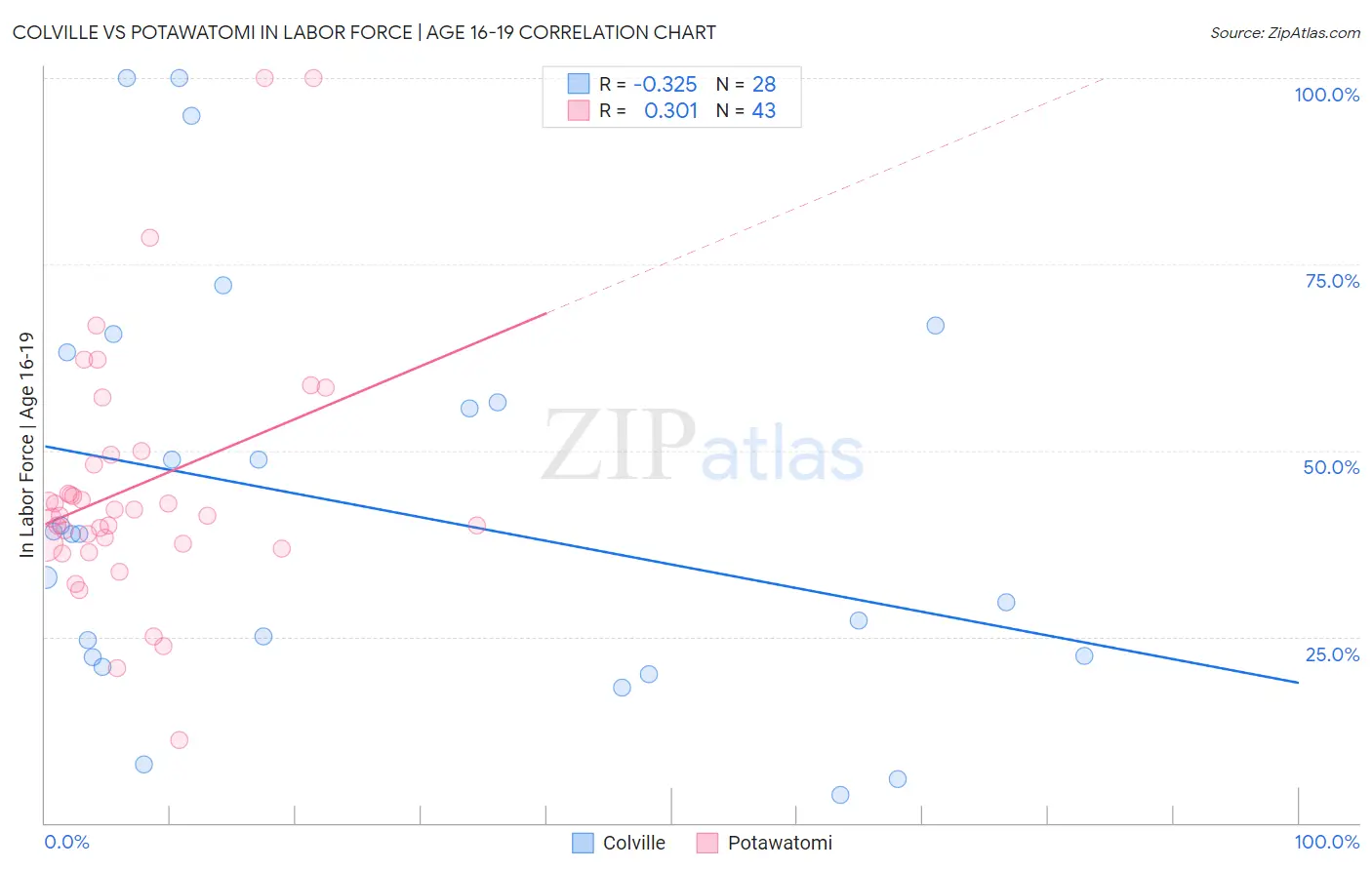 Colville vs Potawatomi In Labor Force | Age 16-19