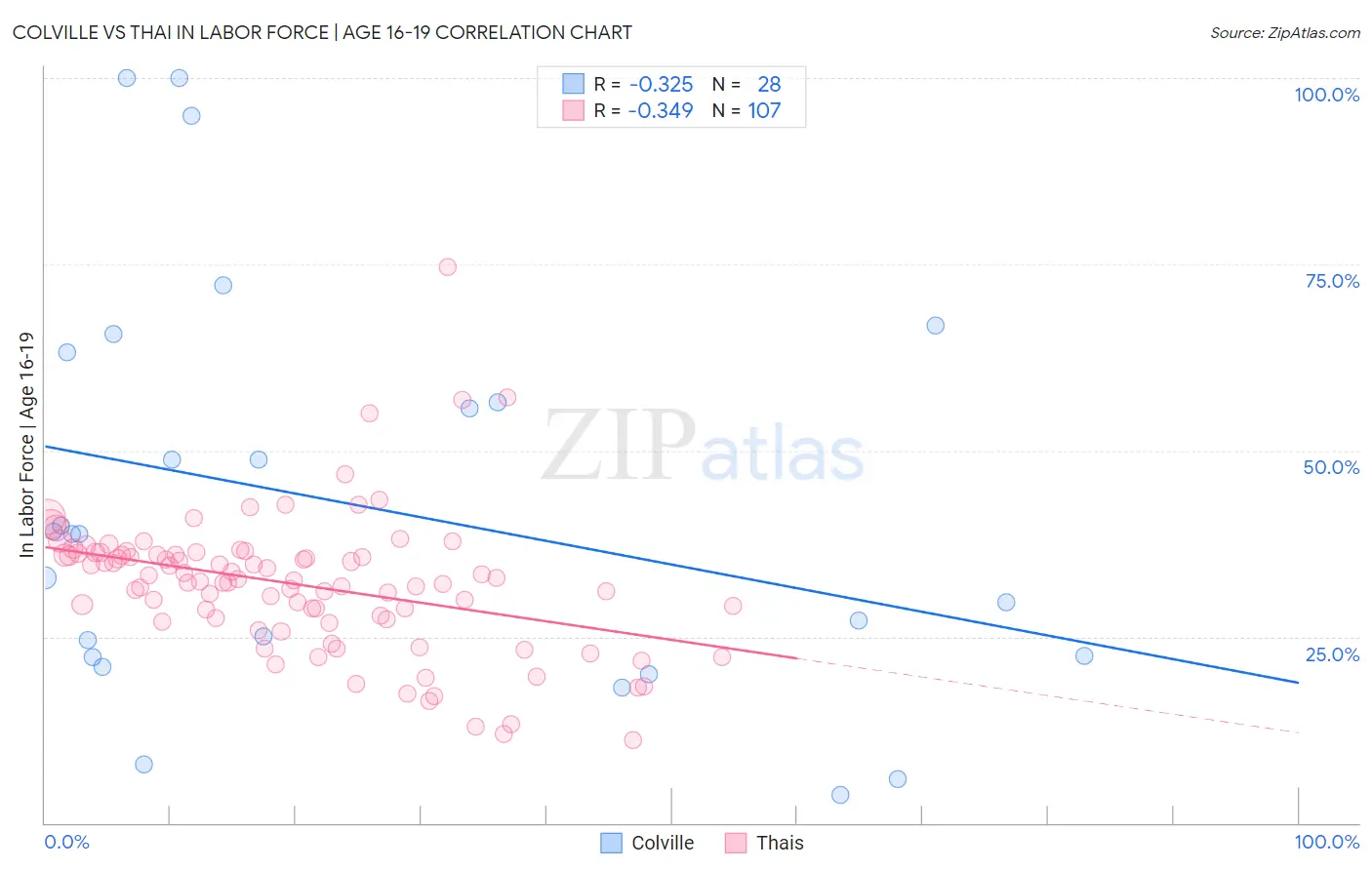 Colville vs Thai In Labor Force | Age 16-19